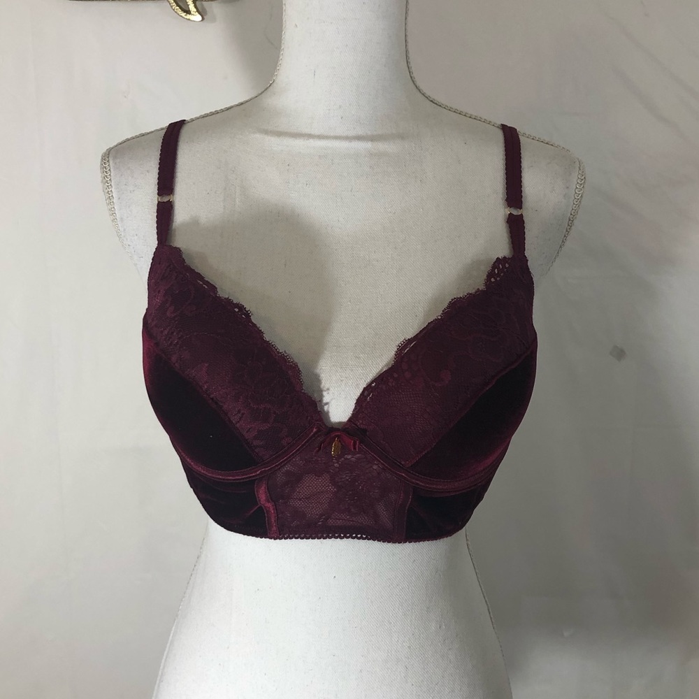 Daisy Fuentes intimates velvet push-up bra.